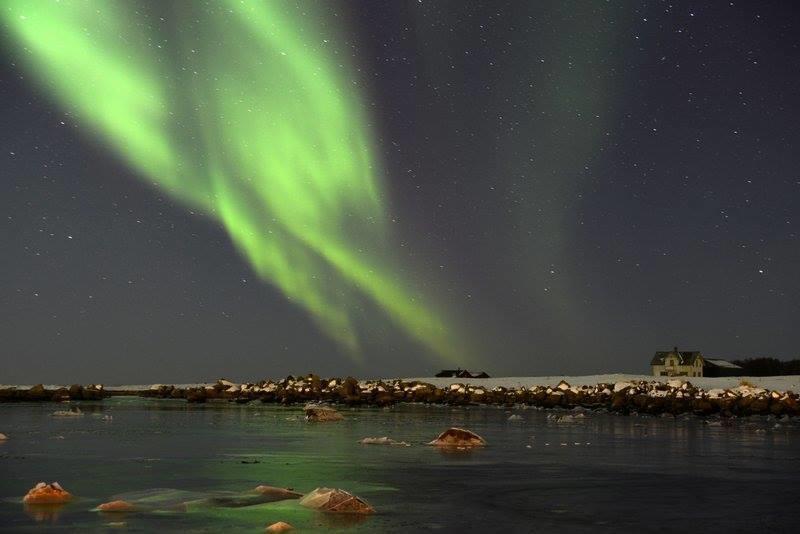 Borghildstua Feriehus Melbu Zimmer foto